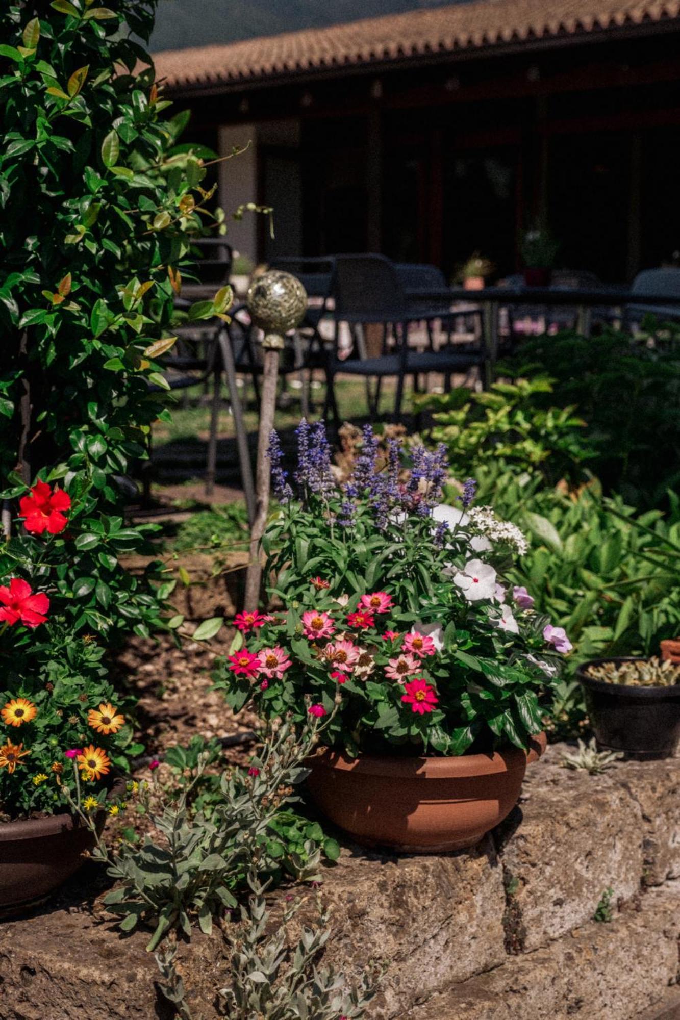 Angerburg Blumenhotel Appiano sulla Strada del Vino Kültér fotó